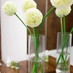 Apartament Wordsworth Irene Court *